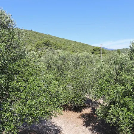 Family Friendly Seaside Drace, Peljesac - 4529 Drače