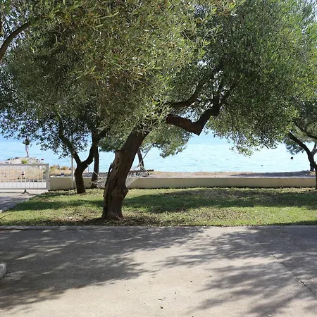 Family Friendly Seaside Drace, Peljesac - 4529 Apartment Drače