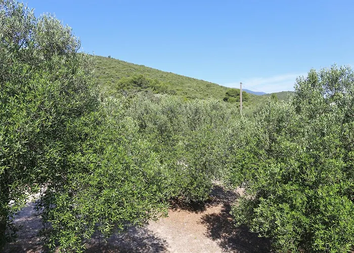 شقة Family Friendly Seaside Drace, Peljesac - 4529 Janjina